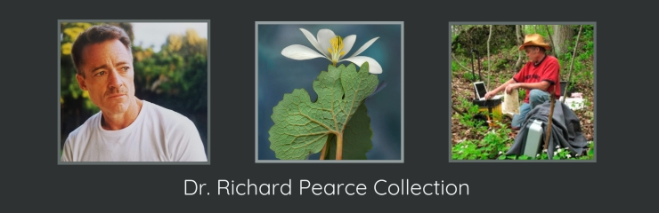 Dr. Richard Pearce Collection