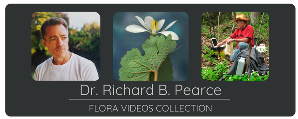 Flora Videos