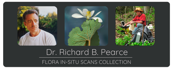 Flora In-situ Scans