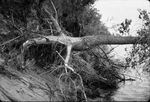 Flood scenery, construction negatives