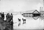 Mississippi River negatives by Cal R. Fremling