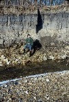 Beaver village and soil slides by Cal R. Fremling