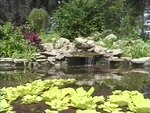 Gardens: Bill McNeil's Pond and Garden