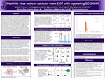 West-Nile virus replicon particles infect 293T cells expressing DC-SIGNR