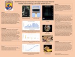 Bat Monitoring by Echolocation for Upper Mississippi National Wildlife and Fish Refuge, US Fish & Wildlife Service by Amy A. Scherer