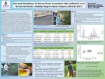 Size and Abundance of Brown Trout Associated with Under-Bank Cover and Mid-Channel Boulders in Garvin Brook's 2014 and 2017 Habitat Improvement Projects by Alicia L. Skolte