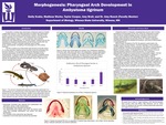 Morphogenesis: Pharyngeal Arch Development in Ambystoma tigrinum by Madison M. Worke, Taylor Cooper, Emily Krahn, and Amy Broll