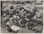 WSU Campus Aerial Photograph