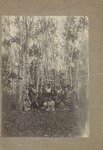WSU Female Students out in the Woods