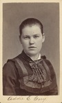 Winona Normal School Class of 1877 Addie E. Gary Mrs. C.E. Persons