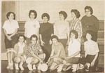 Volleyball Women Faculty