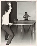 Recreation Ping Pong