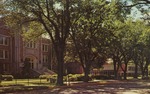 Postcard Somsen Hall